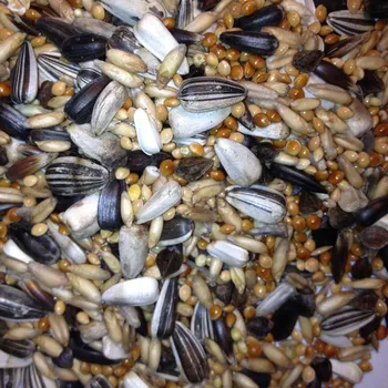 Pro ptáka Směs vhodná pro střední papoušky Korely, Rozely, Alexandry