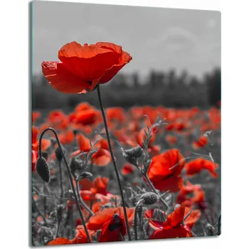 Kuchyňské prkénko Krájecí deska TMK ArtDeko sklo 1 ks