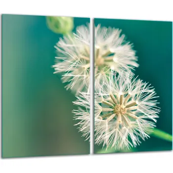 Obraz Krájecí deska TMK ArtDeko sklo 2 ks