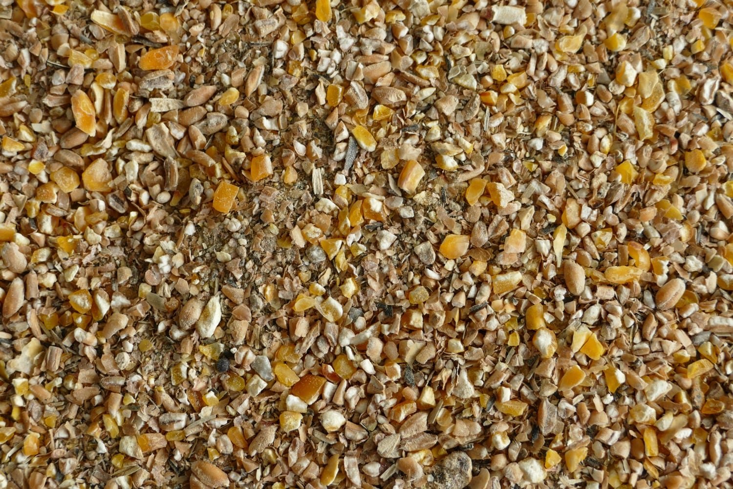 Krmná směs KZK je určena pro kuřice od 10. týdne stáří do začátku snášky. Celková spotřeba pro jednu kuřici je 3 kg za krmné období.