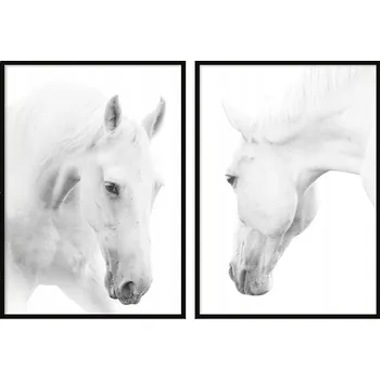 Obraz OBRAZ PLAKÁTY V RÁMU 53x73cm Dyptych Sada 2 obrazů Bílý Kůň Koně P710