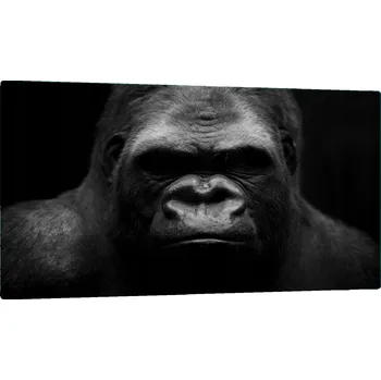 Kuchyňské prkénko SKLENĚNÁ DESKA NA KRAJENÍ 52x30 GORILA