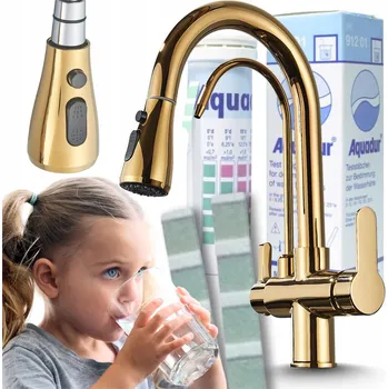 Vodovodní baterie Kuchyňská baterie stojánková Ari Nordic zlatá