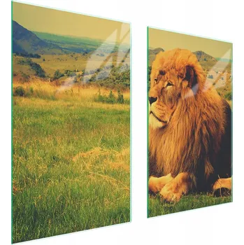 Obraz Skleněná ochranná deska na sporák 75x52 Lev