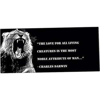 Stolní podložka XXL podložka pod myš HUADO Motto