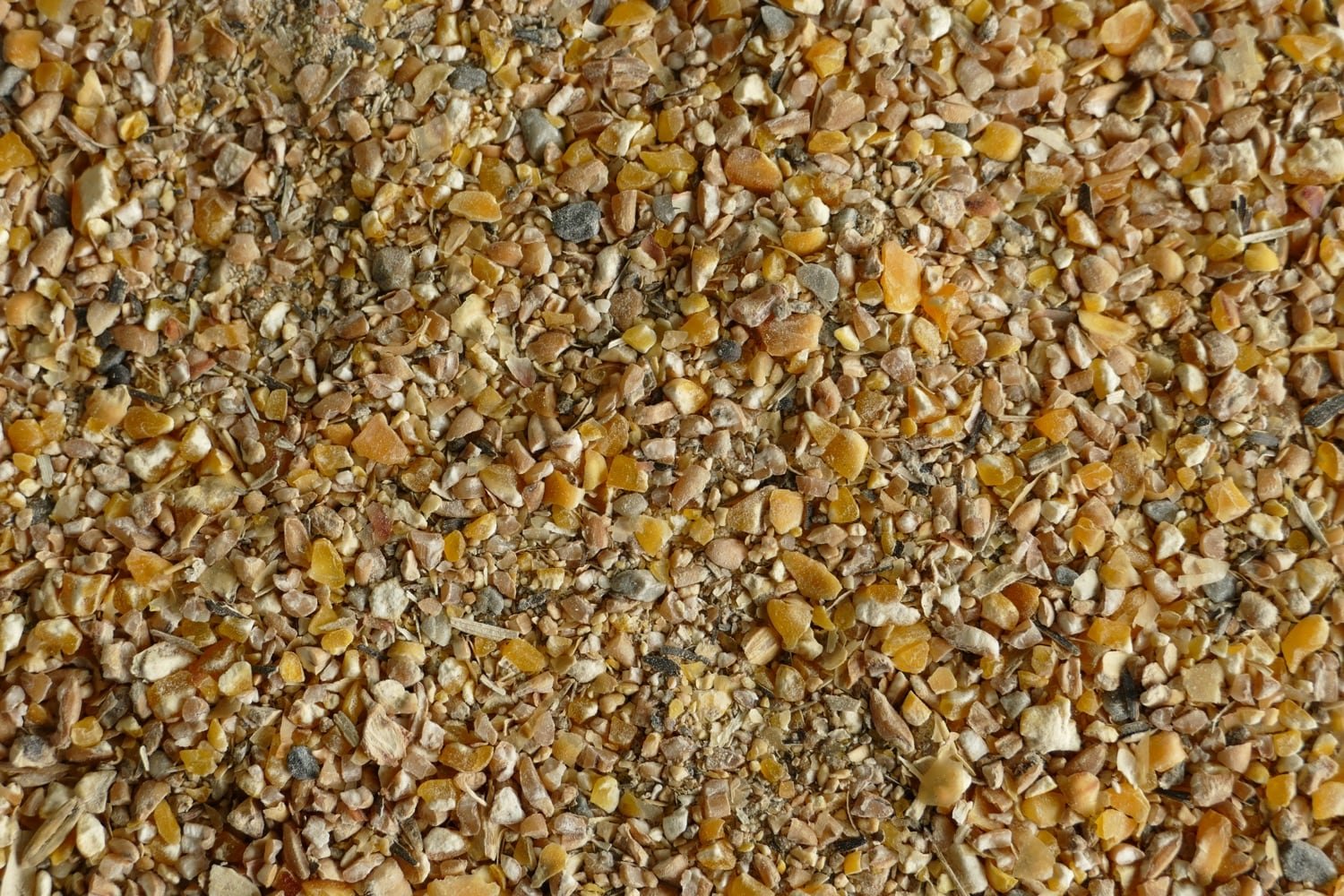 Kompletmí krmná směs je určena pro nosnice ve 2. fázi snášky, přibližně od 50. týdne stáří. Denní spotřeba směsi je 115 g/ks.