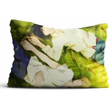 Polštář Polštář filmový, herní, knižní, komiksový Anime 40 x 30 cm