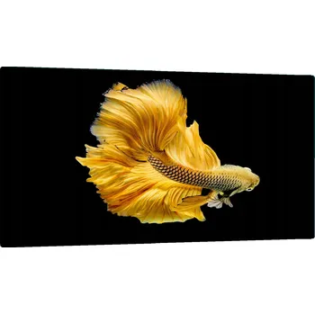 Kuchyňské prkénko SKLENĚNÁ DESKA NA KRAJENÍ 52x30 RYBA