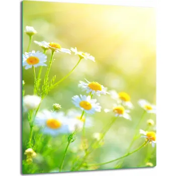 Obraz Krájecí deska TMK ArtDeko sklo 1 ks