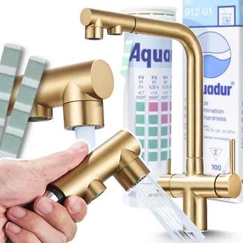 Vodovodní baterie Stojánková kuchyňská baterie Ari Venom zlatá