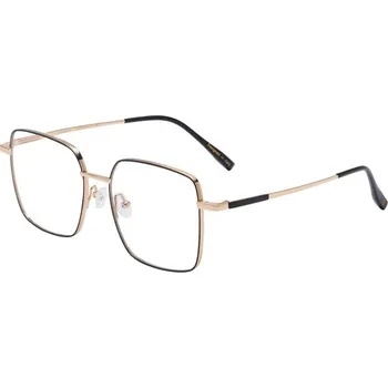 Brýle na čtení DUOS 26013 C1 TITANIUM