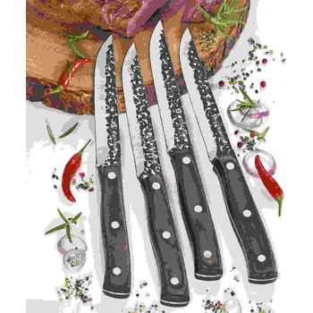 Kuchyňský nůž Steakové nože HUNTER sada 4 kusů - Zassenhaus (HUNTER sada steakových nožů - Zassenhaus)