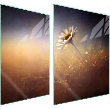 Obraz Skleněná ochranná deska na sporák 70x52 Květina