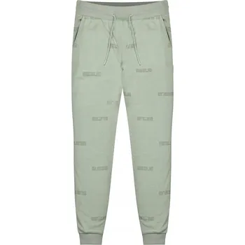 Teplákové kalhoty GUESS Logo Q1BQ24 KAMHV Mátové
