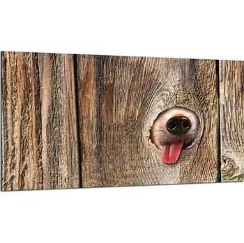 Kuchyňské prkénko Krájecí deska TMK ArtDeko sklo 1 ks