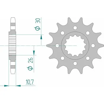 Nářadí na motocykly Ocelová standardní přední řetězová kola AFAM 21805 - 525 21805-17
