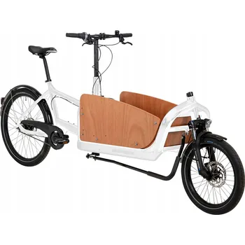 Elektrokolo Nákladní kolo BBF Cargo Cargorider 2.1 Komfortní přeprava, 26-20 palců, výška rámu 48 cm