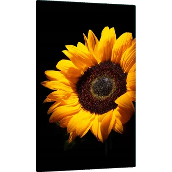 Obraz Krájecí deska TMK ArtDeko sklo 1 ks