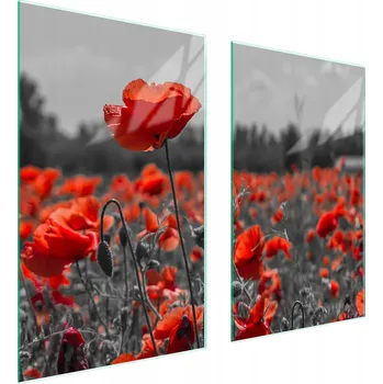 Obraz Skleněná ochranná deska na sporák 75x52 Květina