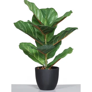 umělá květina Umělá rostlina v květináči Fíkovník, 40 cm