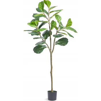 umělá květina Umělá rostlina Eukalyptus 78 x 78 x 155,6 cm PE