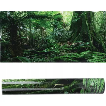 Obraz 3D pozadí do akvária 122x46cm Rainforest