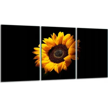 Kuchyňské prkénko Krájecí deska TMK ArtDeko sklo 3 ks