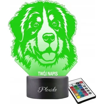 Lampička Plexido vícebarevná Noční lampa