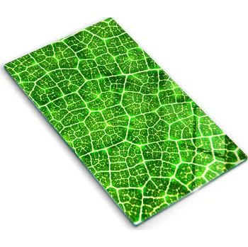 Obraz Krájecí deska Wallfluent sklo 1 ks