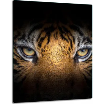 Kuchyňské prkénko Krájecí deska TMK ArtDeko sklo 1 ks