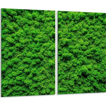 Obraz Krájecí deska TMK ArtDeko sklo 2 ks