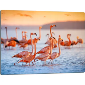 Kuchyňské prkénko Krájecí deska TMK ArtDeko sklo 1 ks