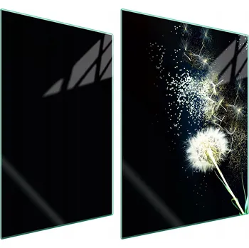 Obraz Skleněná ochranná deska na sporák 70x52 Květina