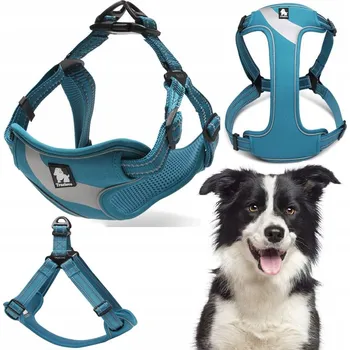 Postroj pro psa Postroj Truelove step in Daily Border kolie PON L