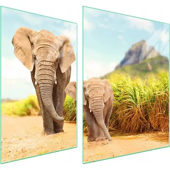 Obraz Skleněná ochranná deska na sporák 70x52 Slon