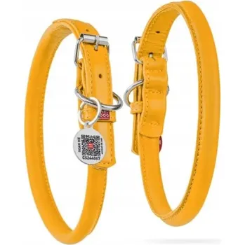 Obojek pro psa Kožený obojek pro psa klasický Waudog vel. XL