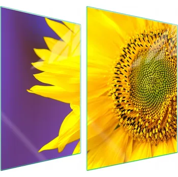 Obraz Skleněná ochranná deska na sporák 70x52 Květina