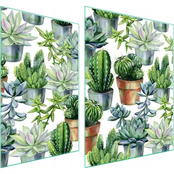 Obraz Skleněná ochranná deska na sporák 70x52 Kaktus