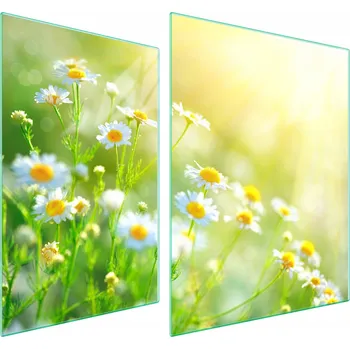 Obraz Skleněná ochranná deska na sporák 70x52 Květina