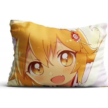 Polštář Polštář filmový, herní, knižní, komiksový Anime 40 x 30 cm
