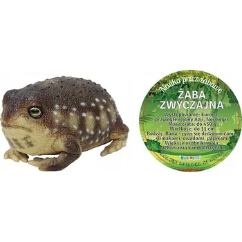 Figurka Velká žába obecná figurka měkká 25 cm obojživelník