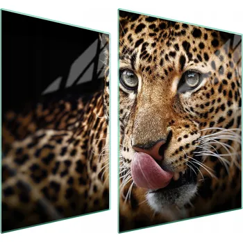 Obraz Skleněná ochranná deska na sporák 70x52 Panter