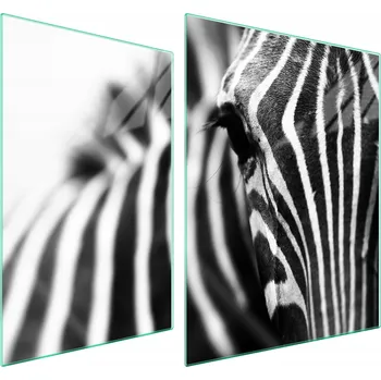 Obraz Skleněná ochranná deska na sporák 70x52 Zebra