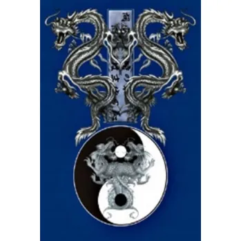 Obraz Plakát Drak Tao bez rámu 61 x 91 cm