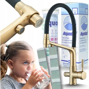 Vodovodní baterie Kuchyňská stojánková baterie Ari Flexible černá