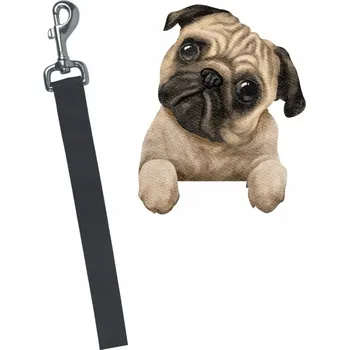 Vodítko pro psa Vodítko Zolux, materiál 1,2 m