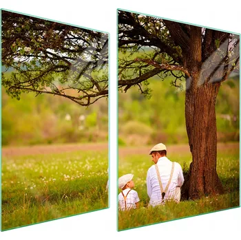 Obraz Skleněná ochranná deska na sporák 70x52 Strom