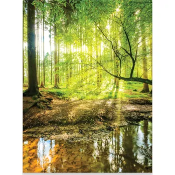 Obraz Plakát na zeď Les Příroda Výhled Obraz do ložnice obývacího pokoje Bez rámu 70x50