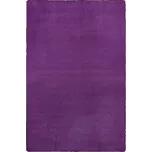 Koberec Hanse Home Fancy fialový