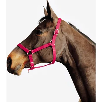 Vybavení pro koně FOUGANZA Ohlávka Schooling pro koně a poníky PS RŮŽOVÁ|ČERVENÁ